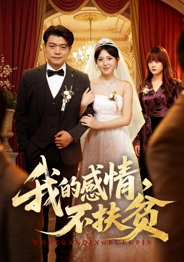 闪婚千亿女总裁片目封面